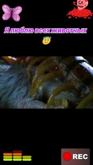 Животные приколы и не только😅