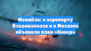 Меняйло: в аэропорту Владикавказа и в Моздоке объявили план «Ковер»