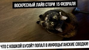 Воскресный лайв-стори. У кошки удалили раковую опухоль. инфоцыганские зарубы в интернетах