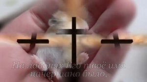 На ладонях Его твоё имя начертано было (Вениамин Назарук)