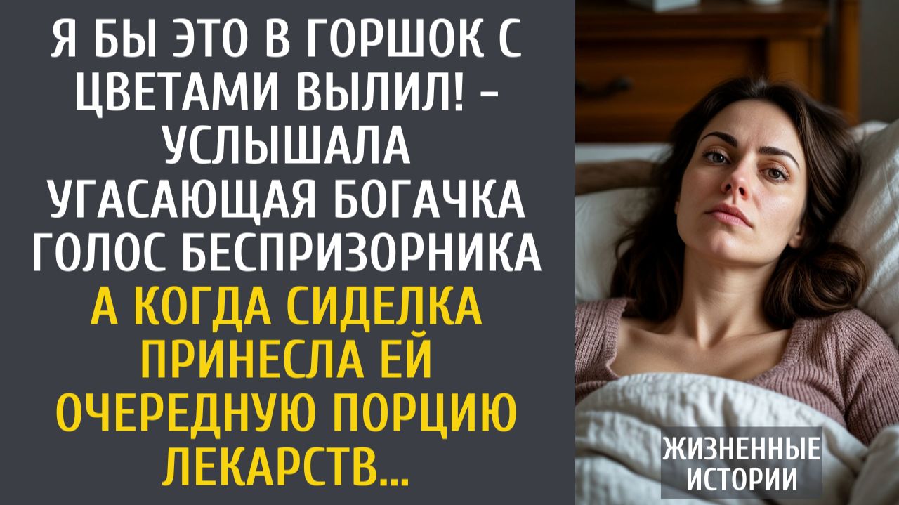 Истории из жизни Я бы это в горшок с цветами вылил! - услышала угасающая богачка голос беспризорника смотреть онлайн