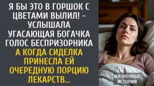 Истории из жизни Я бы это в горшок с цветами вылил! - услышала угасающая богачка голос беспризорника