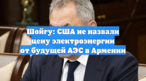 Шойгу: США не назвали цену электроэнергии от будущей АЭС в Армении