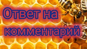 Ответ на комментарий 🐝