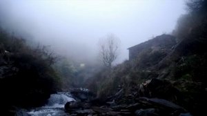 Теория заговора мифы и реальность