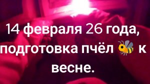 14 февраля, 26 года, готовлю пчёл 🐝 к весне 🍎.