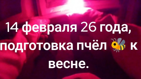 14 февраля, 26 года, готовлю пчёл 🐝 к весне 🍎.