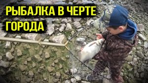 Рыбалка в черте города