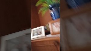 чем я занимаюсь дома