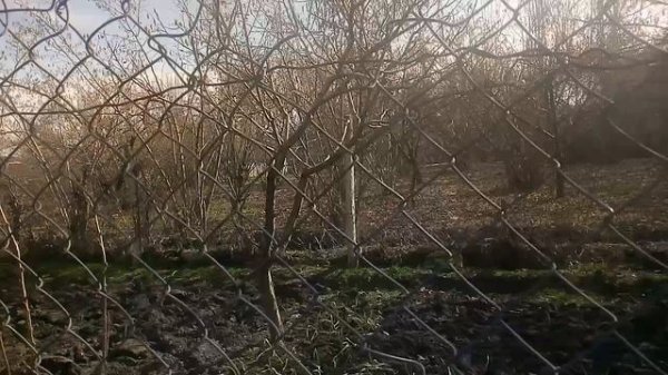 ПОКАЗЫВАЕМ ОГОРОД ХАРДИКА ЧАСТЬ 4