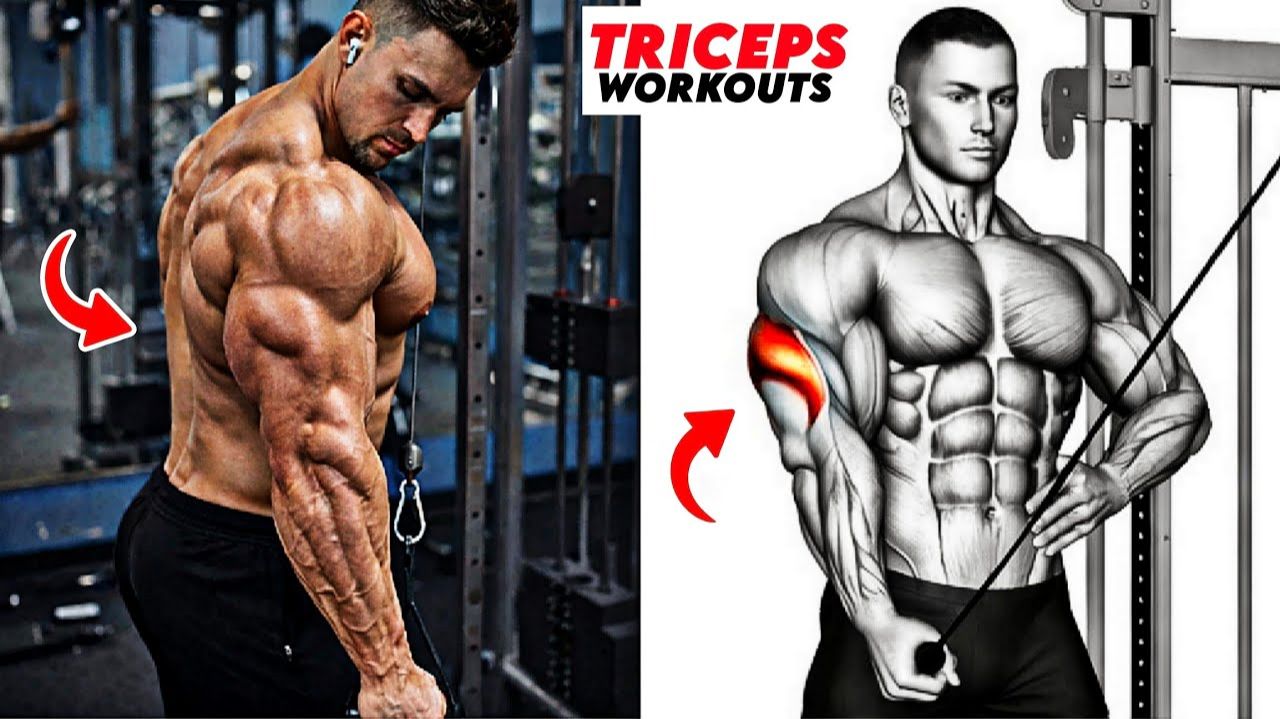 8 Отличных Упражнений На Трицепсы Для Увеличения Объема И Развития Рук 💪