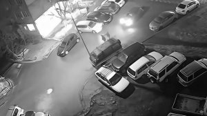 Иностранец подрался с приятелями и переехал их на авто во Владивостоке