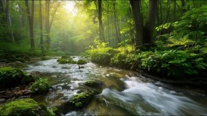 Лесной ручей — отдых, медитация и крепкий сон — 3 часа