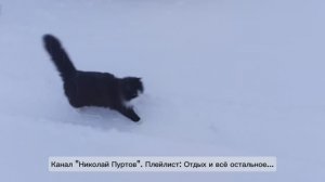 Такая зима,такое утро,такие вот заботы...