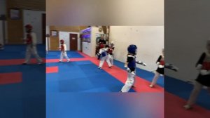 Тхэквондо спаринги