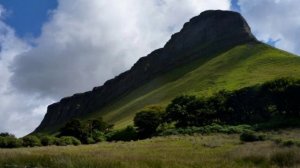 Комби-ролики ! (20)