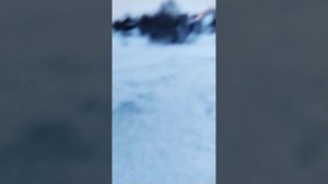 Кому снега❄️❄️❄️❄️❄️😄?✨Вечерняя  прогулка по  лесу🌲🤗✨ Лесной ключик✨