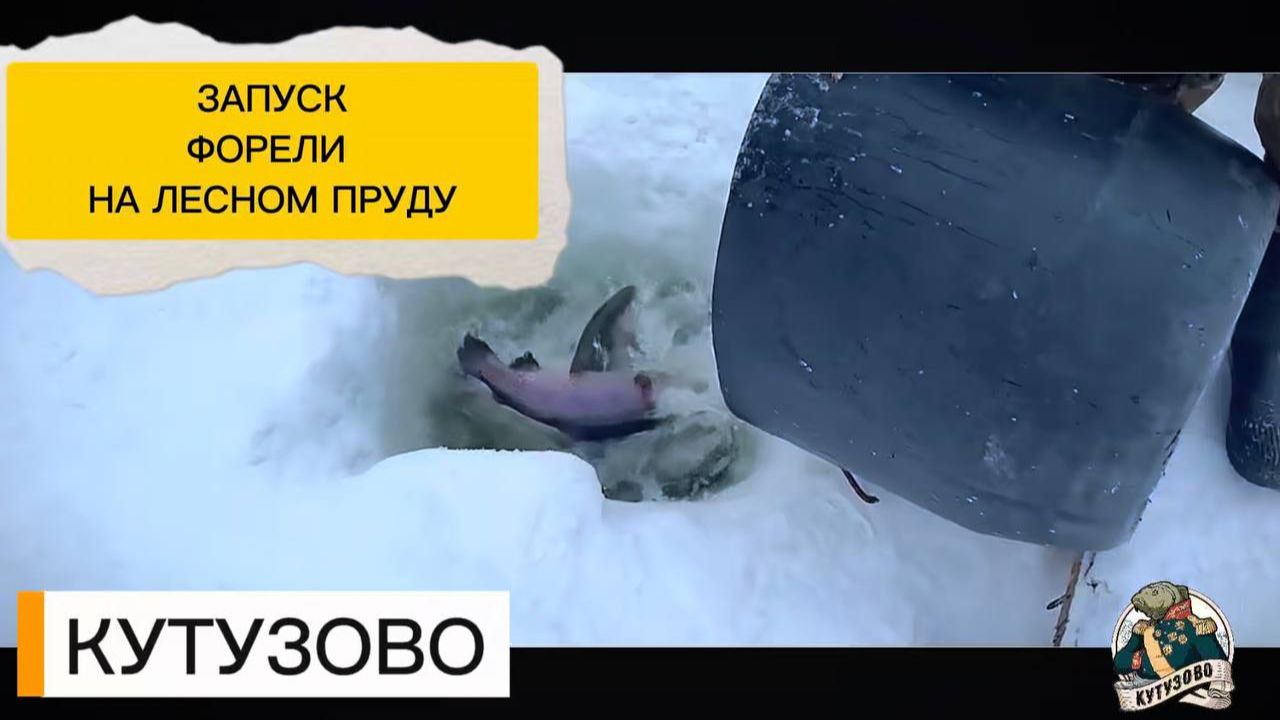 Запуск форели на лесном пруду 15.02