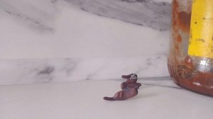 железные монстры 6.mp4