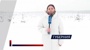 Вместо посевов — склад и дома. Поля в Бякове меняют назначение