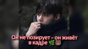 Тэхён и эффект тишины: почему "Snow Peak" выбрали именно его? 🌿🐻