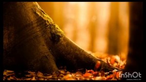 ДДТ - В последнюю осень