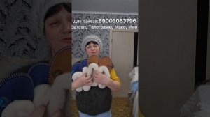 пуховый палантин, пуховая косынка,варежки, лечебные свойства,тапочки меховые натуральные, носки пух