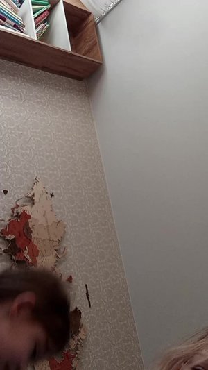 мы собаки, а нам. а нас не любят.