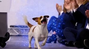 Рютте и пес Патрон