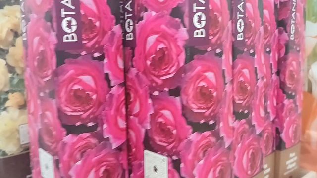 2026.Розы обзор новинок,цен. Завоз нового посадочного материала. Поиск, Ботаник коллекшен, Мой сад. смотреть онлайн