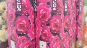 2026.Розы обзор новинок,цен. Завоз нового посадочного материала. Поиск, Ботаник коллекшен, Мой сад.