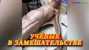 «НЕВОЗМОЖНЫЙ» объект в Венесуэле СНЯТ ВБЛИЗИ — ученые В ЗАМЕШАТЕЛЬСТВЕ и ОБЕСПОКОЕНЫ