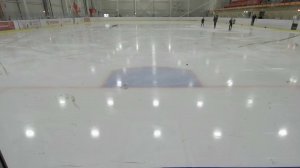 Триумф 1 ворота 15.02