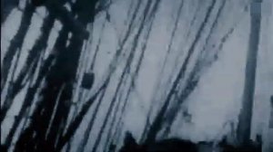 Рыбаки поймали СУЩЕСТВО не с нашей ПЛАНЕТЫ.