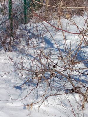 Заходим все