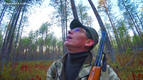 Ходовая охота. Иду на лай собаки, я не ожидал это увидеть! 4 серия