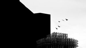 "Площадь мира" - Документальный фильм 2025