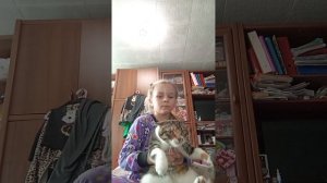 агрессивный   котик