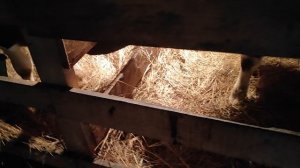 И снова малые)