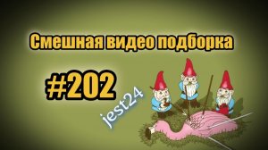 Смешная видео подборка #202
