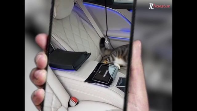 выходной водителя смотреть онлайн