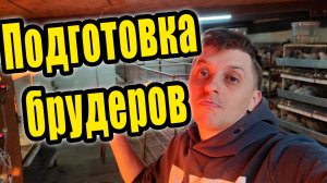 Купил новую перосъёмную машину для перепелов / Готовим брудера к очередной партии