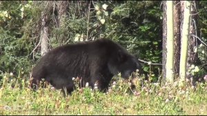 Русский этнос часть  2