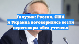 Галузин: Россия, США и Украина договорились вести переговоры «без утечек»