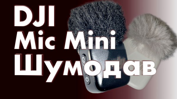 DJI Mic Mini тестируем ШУМОПОДАВЛЕНИЕ при подключении к камере DJI