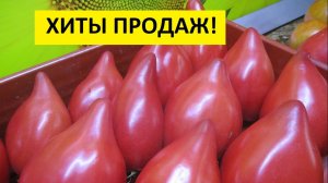 Самые лучшие томаты! Как выбрать их из нескольких сотен сортов? Ответ на вопрос зрителей.