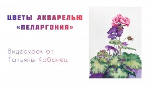 Бесплатный видеоурок акварельной живописи «Пеларгония»