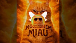 вы засыпали меня😐 своими просьбами чтобы я сделал фонк 🐱Montagem Miau🐱ещё громче и вот я сделал п