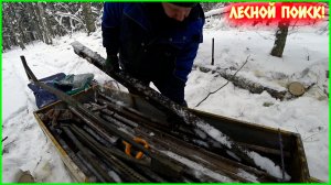 ХОРОШО ПОТРУДИЛИСЬ В ЛЕСУ! ВЕЗЁМ ДОМОЙ ЦЕЛЫЕ САНИ МЕТАЛЛОЛОМА!