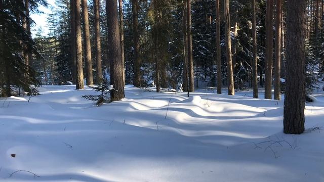 Копоголик и зимний лес. Успокоился до весны. смотреть онлайн